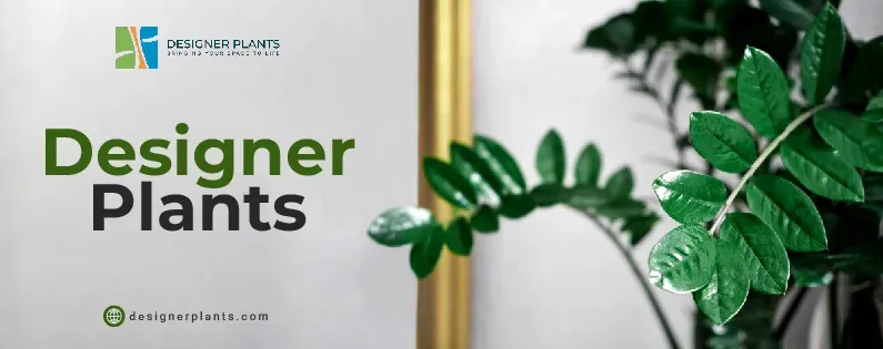 Designer Plants Discount Code Australia