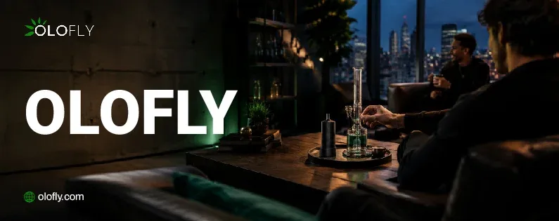 olofly-discount-code - coupondopa